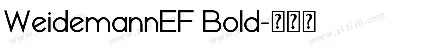 WeidemannEF Bold字体转换 WeidemannEF Bold字体转换